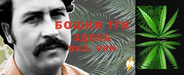 прущая мука Горняк