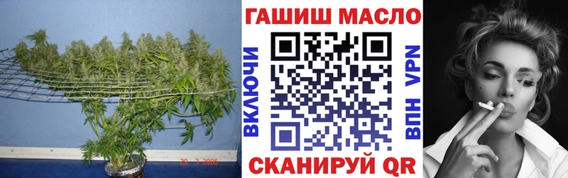 Купить где  Никольское  ТГК THC oil 